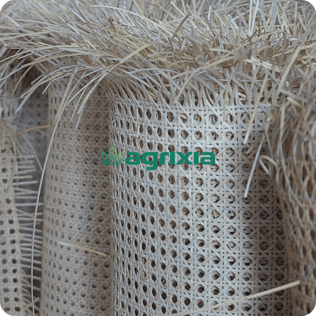 Rattan Webbing Supplier