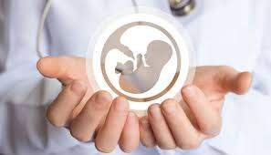 What Are the Success Stories Behind Egg and Sperm Donation?