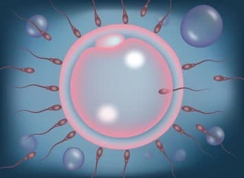 How Do Fertility Clinics Ensure Safe Egg and Sperm Freezing?