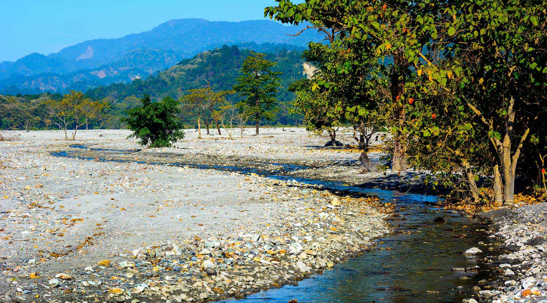 Dooars Tour Packages - Dooars Trip