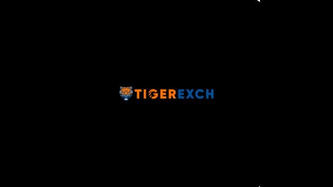 Tiger365pro: A Smarter Way to Explore the Digital Sports Experience