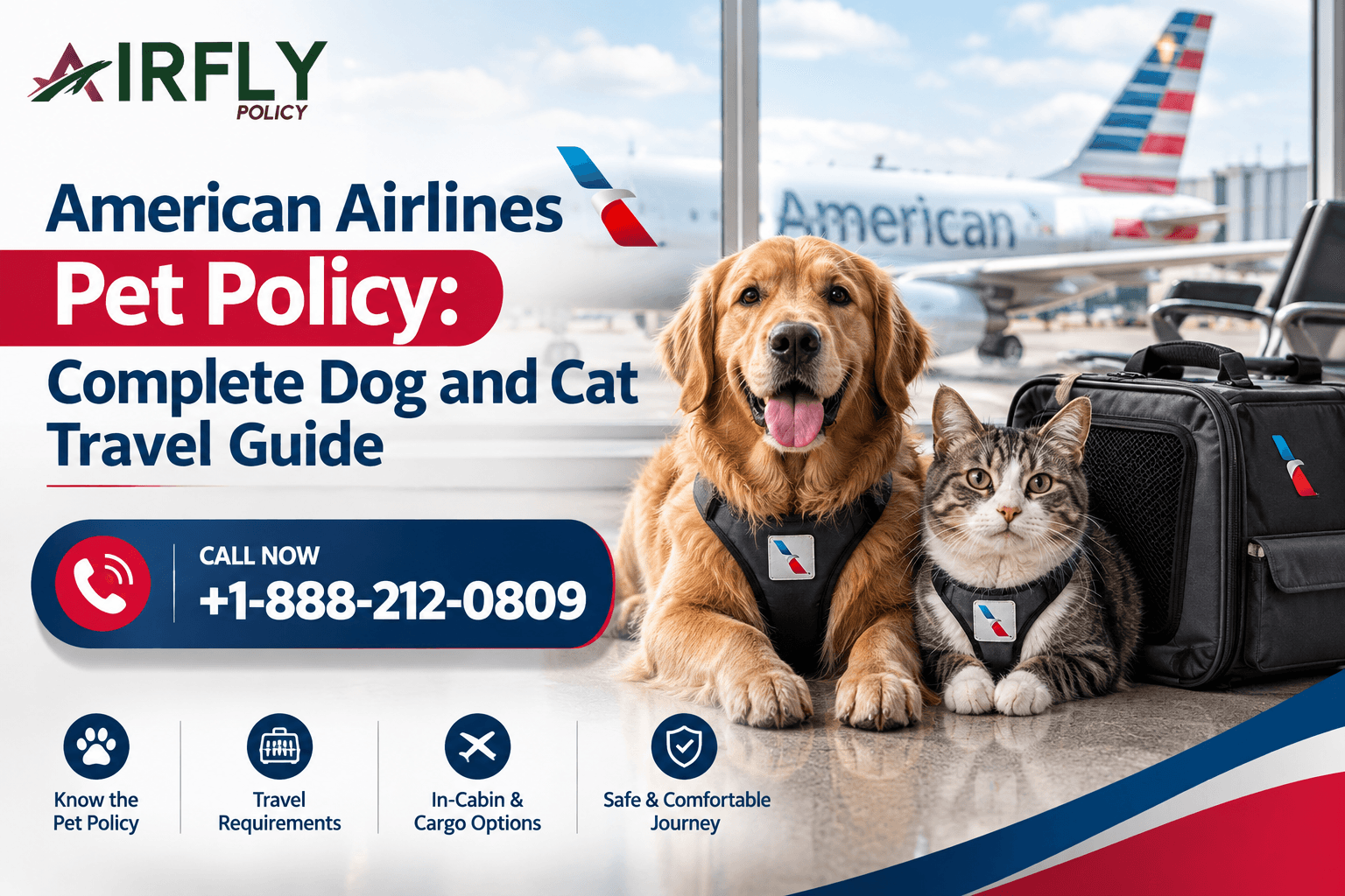 American Airlines Pet Policy: Complete Dog and Cat Travel Guide