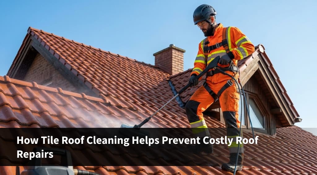How Tile Roof Cleaning Helps Prevent Costly Roof Repairs