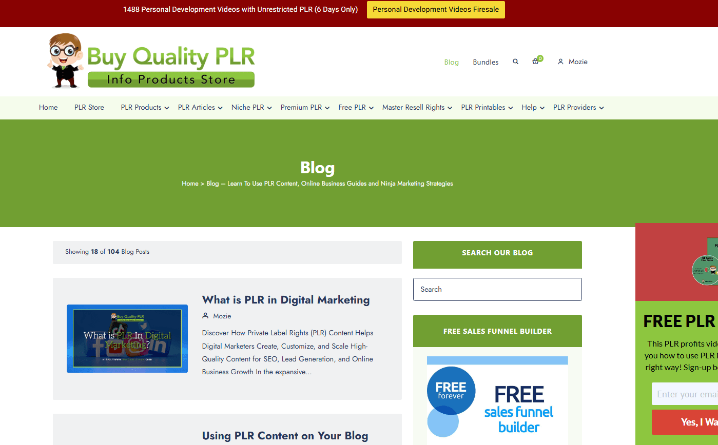 Buy Quality PLR Blog