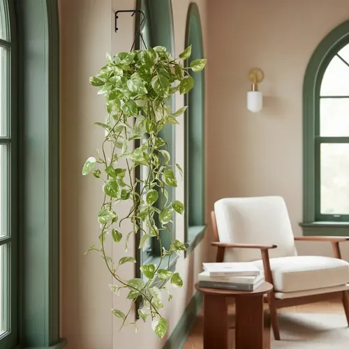 Apartment decorating ideas