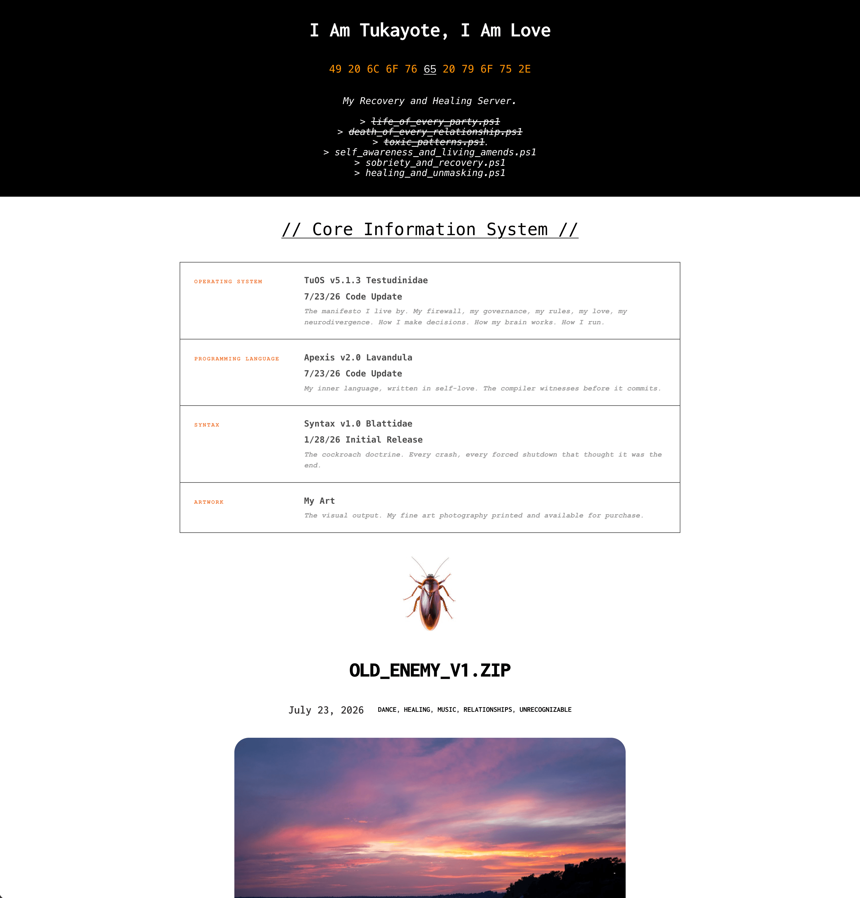 Healing and Recovery Information System