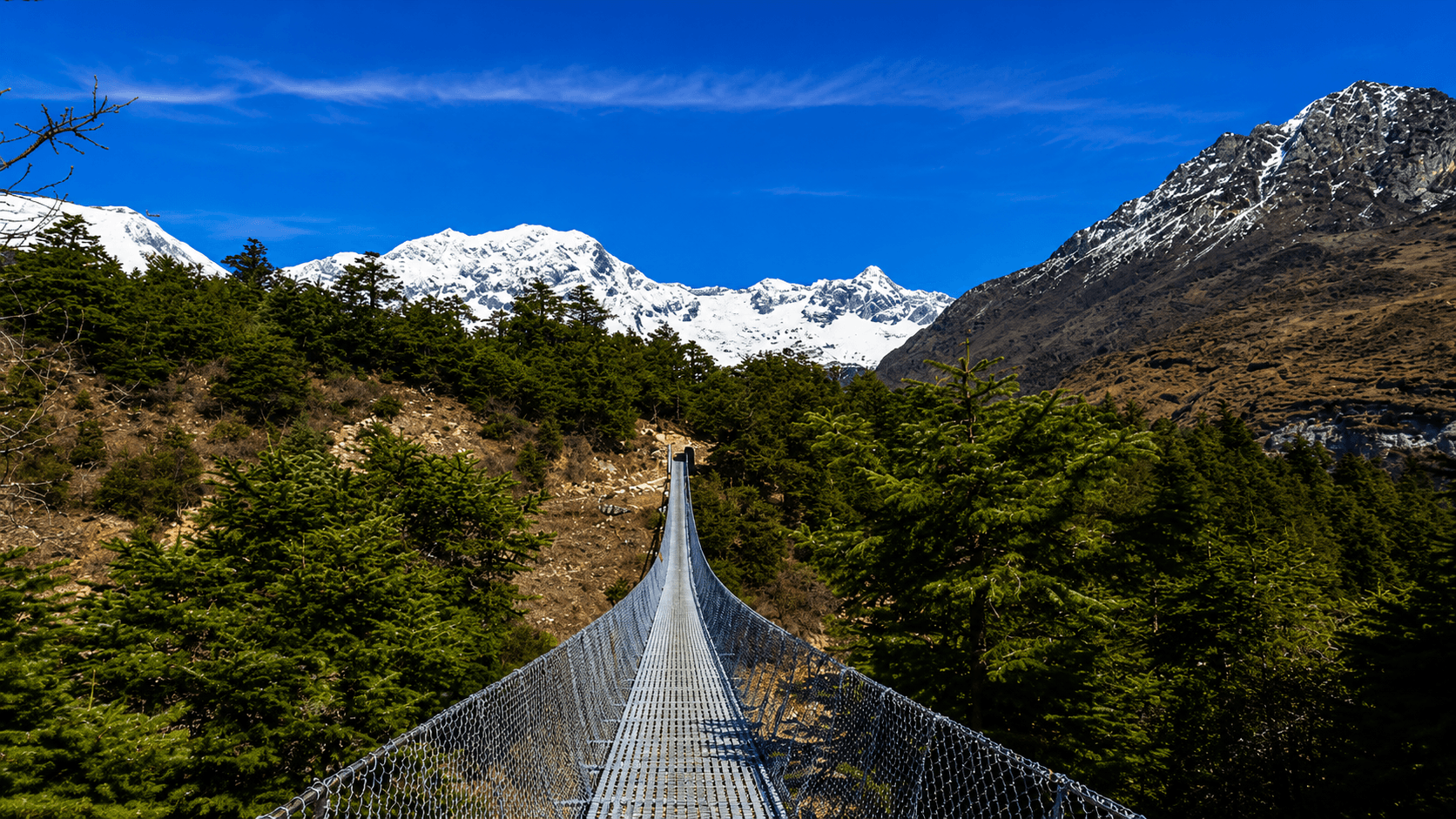 Annapurna Base Camp Trek Difficulty