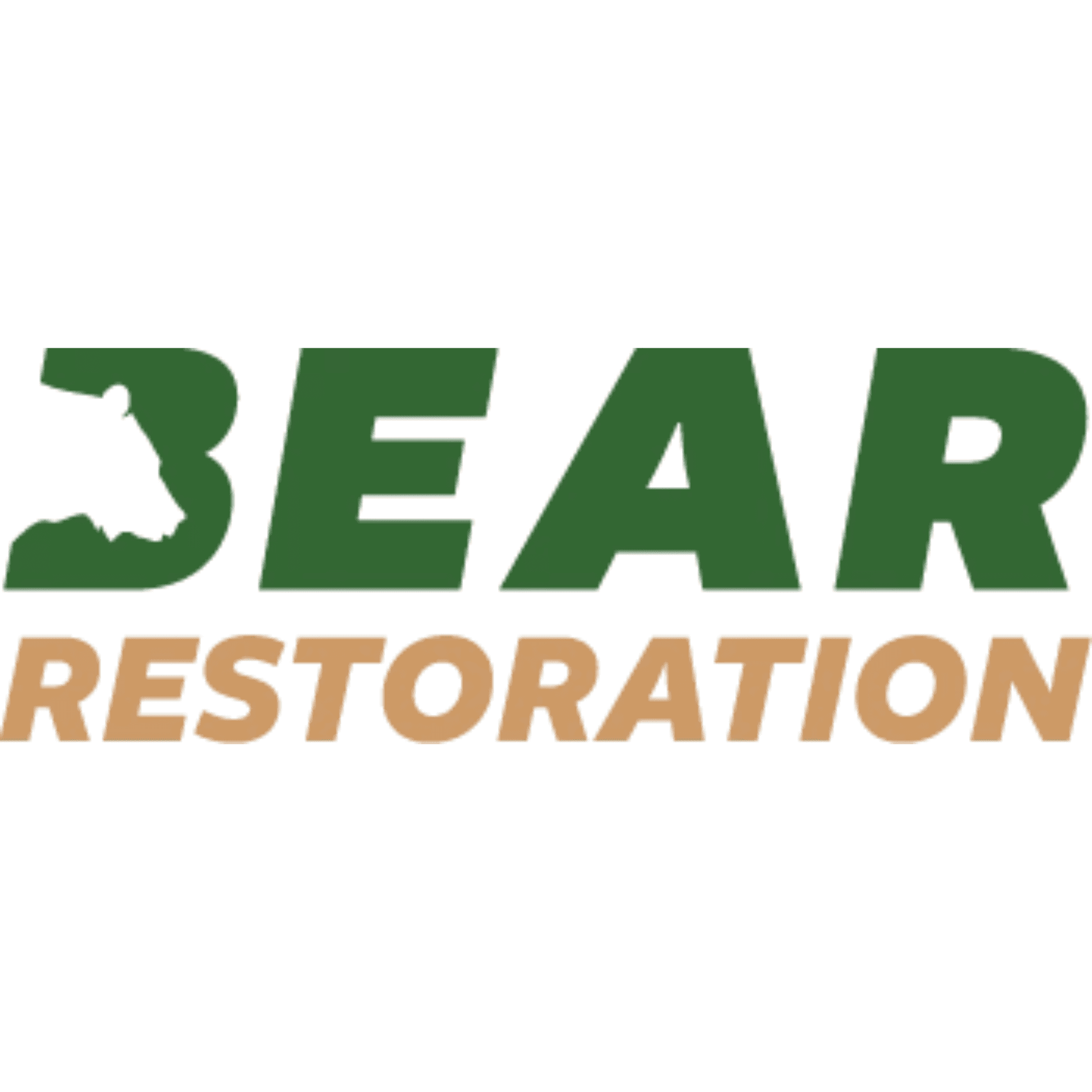 Bear Restoration