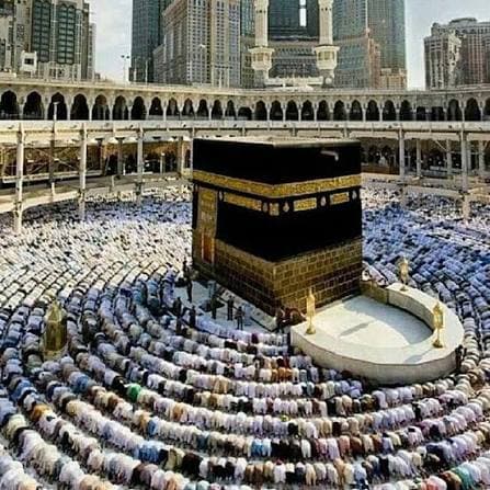مميزات السفر البري بين مكة والمدينة على مدار العام