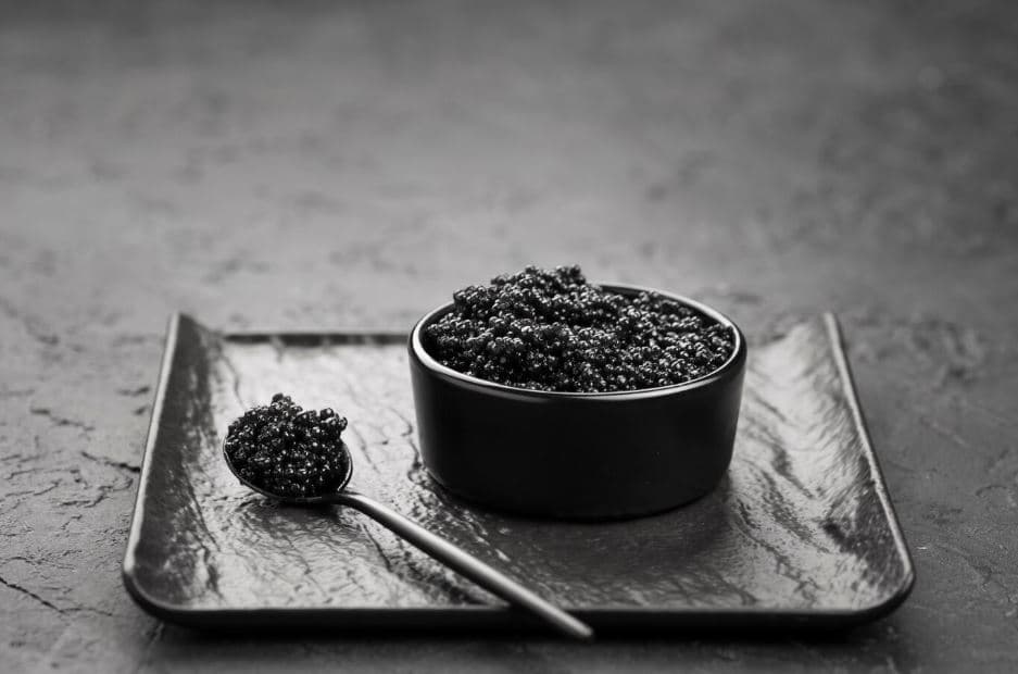 Himalayan Fresh Shilajit