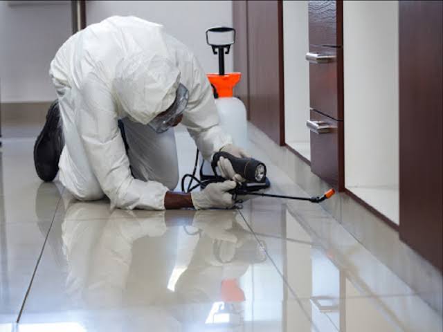 طرق حماية المنزل من الصراصير والنمل والحشرات الزاحفة
