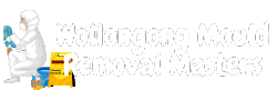 Wollongong Mould Removal Masters