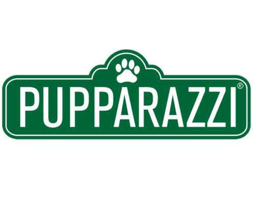 Professional Pet Portraits