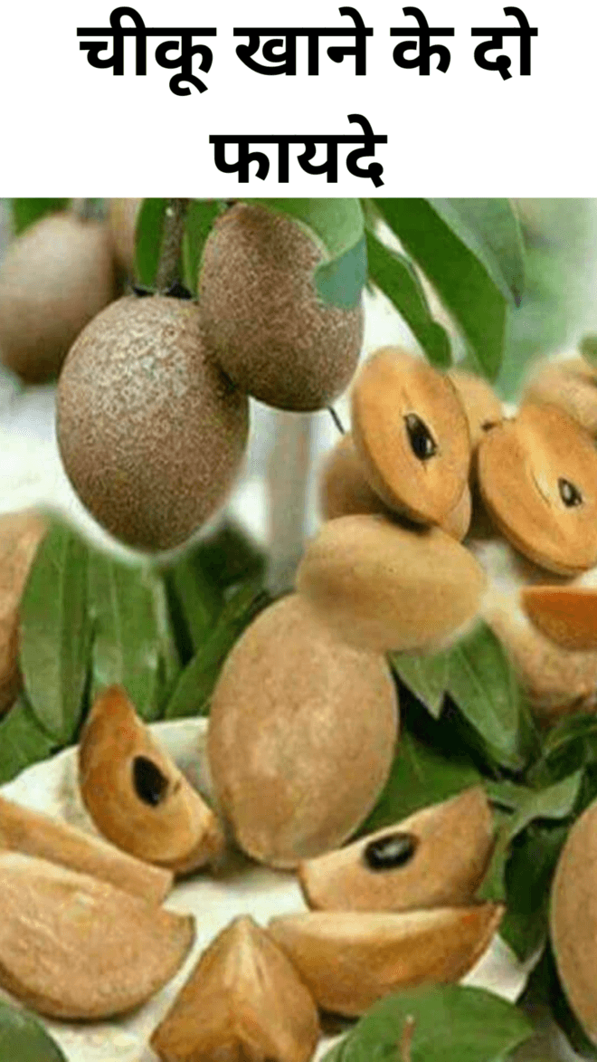 Two benefits of eating Sapodilla