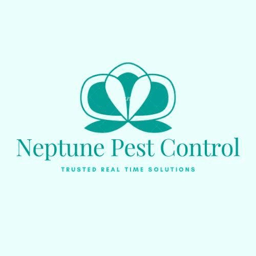 Affordable Cockroach Control & Fumigation Services in Nairobi