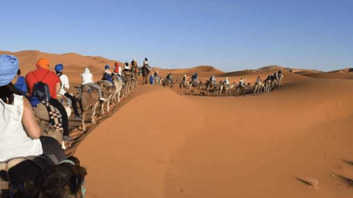  Discover Morocco: Sahara Adventures, Travel Guides, and Tour Packages 