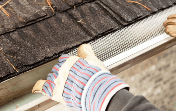 How Leaf Screens Can Help Prevent Water Damage and Costly Repairs