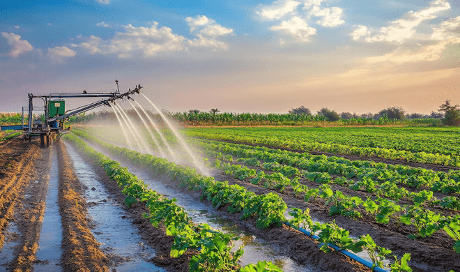 Efficient Drip Irrigation Solutions for Melbourne Gardens