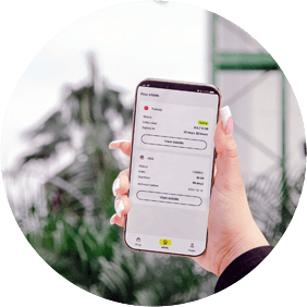 eSims for Travel