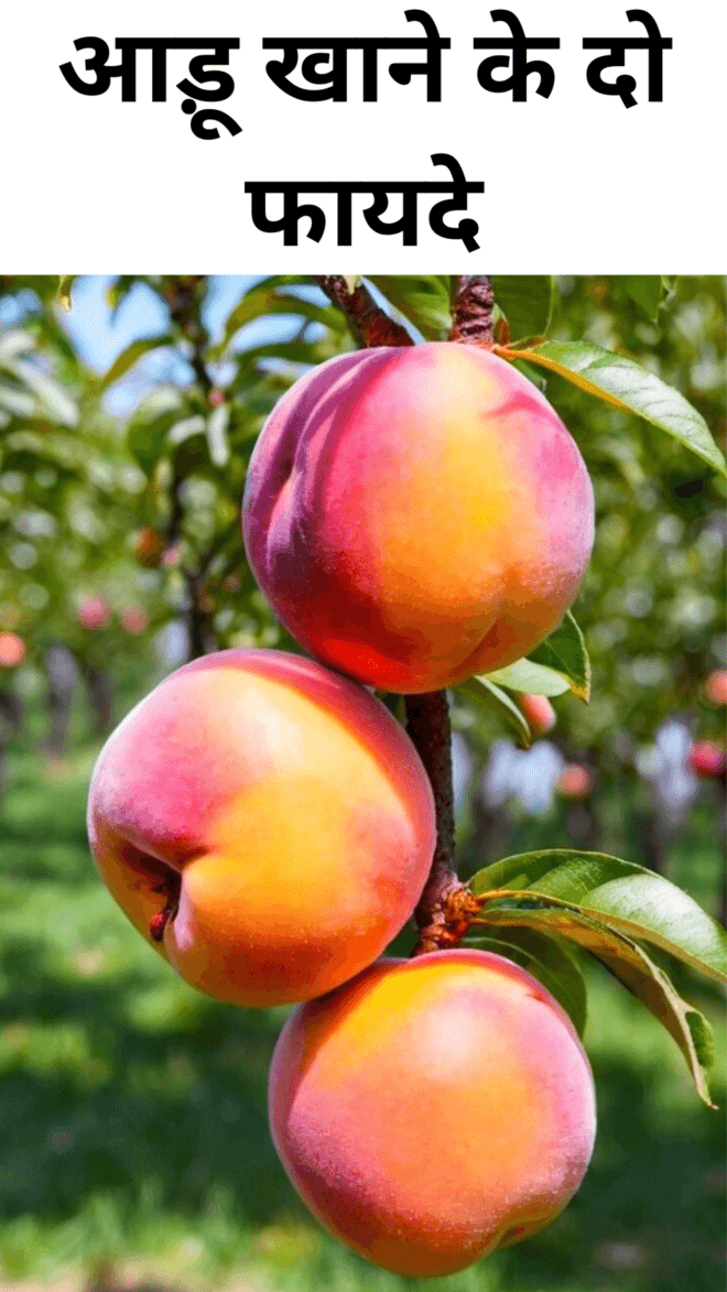 Two benefits of eating peaches