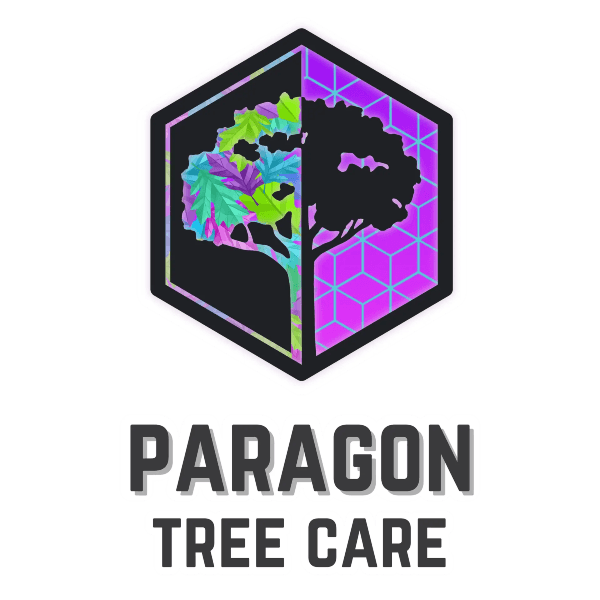 Paragon Tree Care