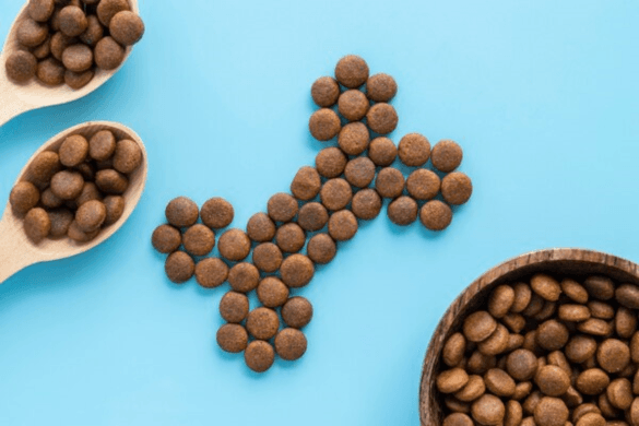 Healthy Dogs, Happy Lives: The Benefits of Royal Canin Dog Food