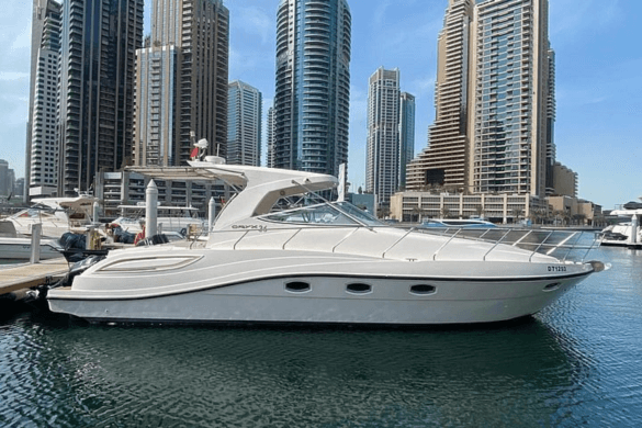 3 Hours of Magic: Dhow Cruise Dubai Marina with Travllor