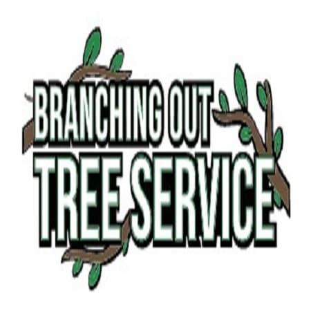 Tree Cutting & Trimming Smithtown
