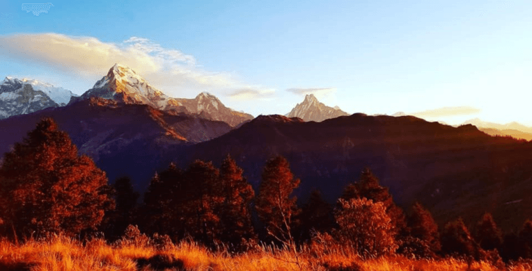 PoonHill Trek