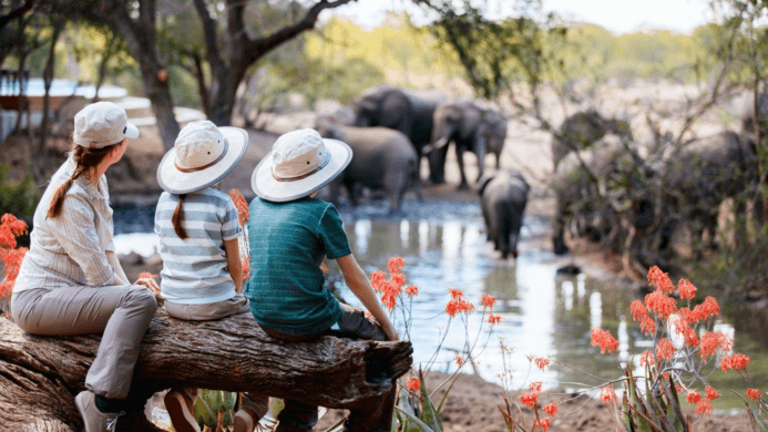 Safari Splendor: Discovering the Best Safari Park in Tanzania with Msangai Adventure