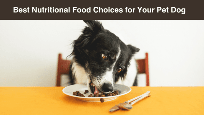 Best Nutritional Food Choices for Your Pet Dog