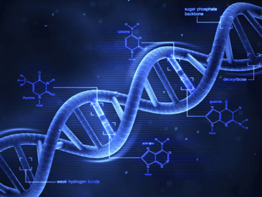Upload the DNA data file