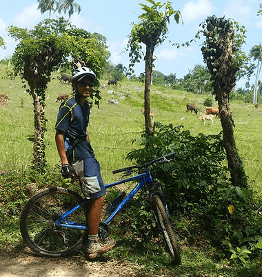 Venta de bicicletas | Culebikeadventure.com