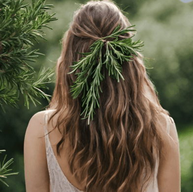 Rosemary: Health Benefits, Hair Care, and Precautions