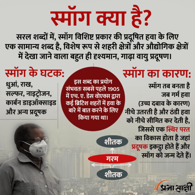 What is smog? Its components and causes