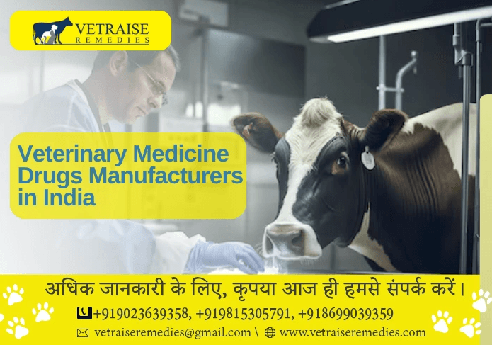 Veterinary Medicine Drugs Manufacturers in India : Vetraise