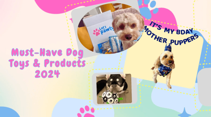 Top Pet Products of 2024: Must-Have Items for Your Furry Friend