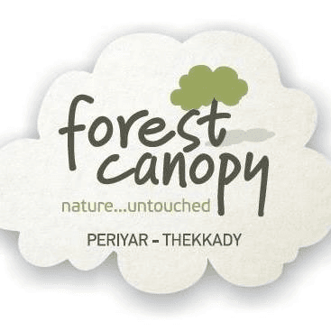 Exquisite Escapes: Discovering Luxury in Forest Canopy Resort Thekkady