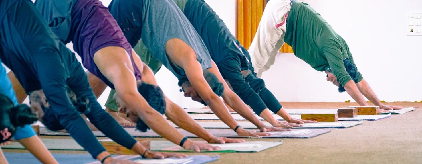 Experience True Yoga at a Yoga School in Rishikesh