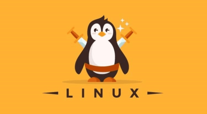 Flexible Linux Courses in Annapolis for Aspiring IT Professionals