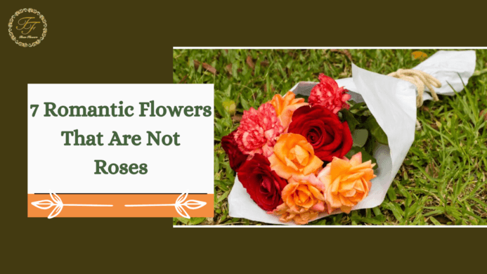 7 Romantic Flowers that are not Roses