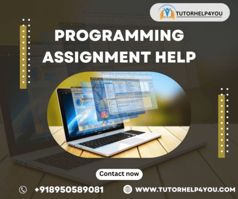 Programming Assignment Help