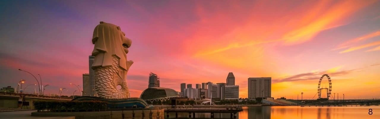 Singapore Travel Packages: Discover the Best of the Lion 