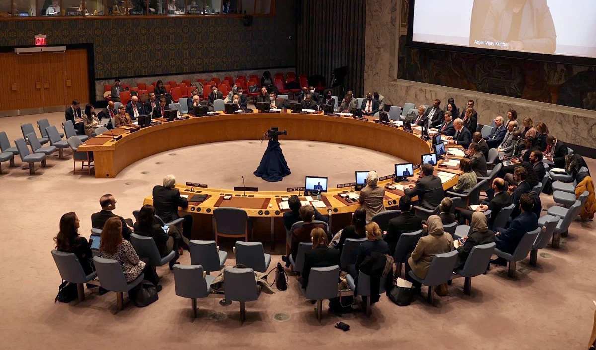 India UNSC Reforms | 'बिना वीटो और स्थायी विस्तार के 
