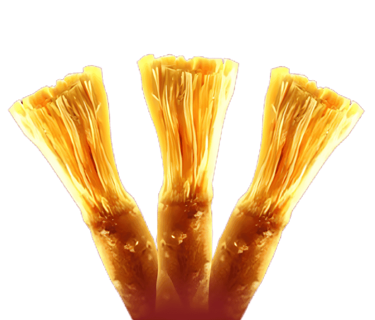 Wholesale Miswak Packaging Solutions for Retailers