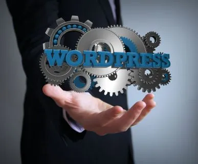 https://www.appence.com/wordpress-website-design.php