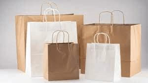 Exploring the Sustainable Surge: Foodservice Paper Bags Market Trends and Dynamics