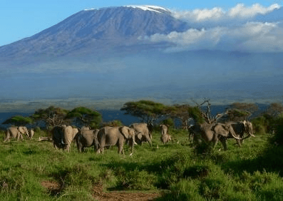 Kilimanjaro booking climbing advice blogger