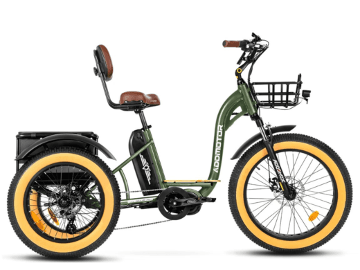 Exploring Premier Electric Trikes on the Market