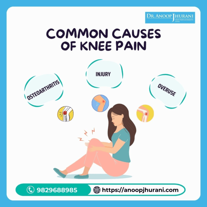 Decoding Knee Anatomy: Navigating Structure and Confronting Ailments